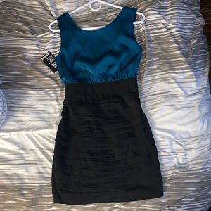 NWT Express dress